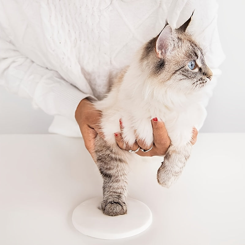 Cat being held by a person on a white background