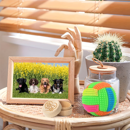 Tabletop scene with a framed photo of dogs, a colorful ball, and a jar on a wooden surface.