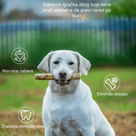 🌱 Drvo kafe – potpuno prirodna igračka za pse! Bez hemikalija, bez veštačkih boja. Savršena za grickanje, jača zube i zadovoljava potrebu za žvakanjem. Zdravo, održivo i šapasto zabavno! 🐾