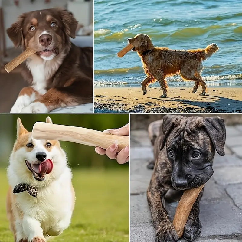 🌱 Drvo kafe – potpuno prirodna igračka za pse! Bez hemikalija, bez veštačkih boja. Savršena za grickanje, jača zube i zadovoljava potrebu za žvakanjem. Zdravo, održivo i šapasto zabavno! 🐾