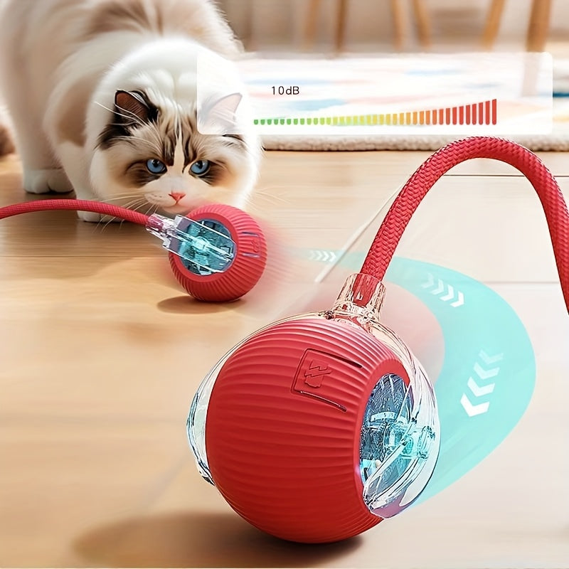 Red pet toy with a cat playing with it on a wooden floor