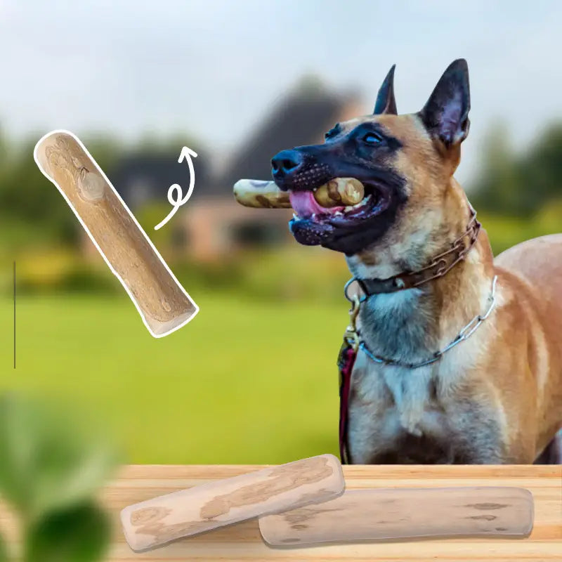 🌱 Drvo kafe – potpuno prirodna igračka za pse! Bez hemikalija, bez veštačkih boja. Savršena za grickanje, jača zube i zadovoljava potrebu za žvakanjem. Zdravo, održivo i šapasto zabavno! 🐾