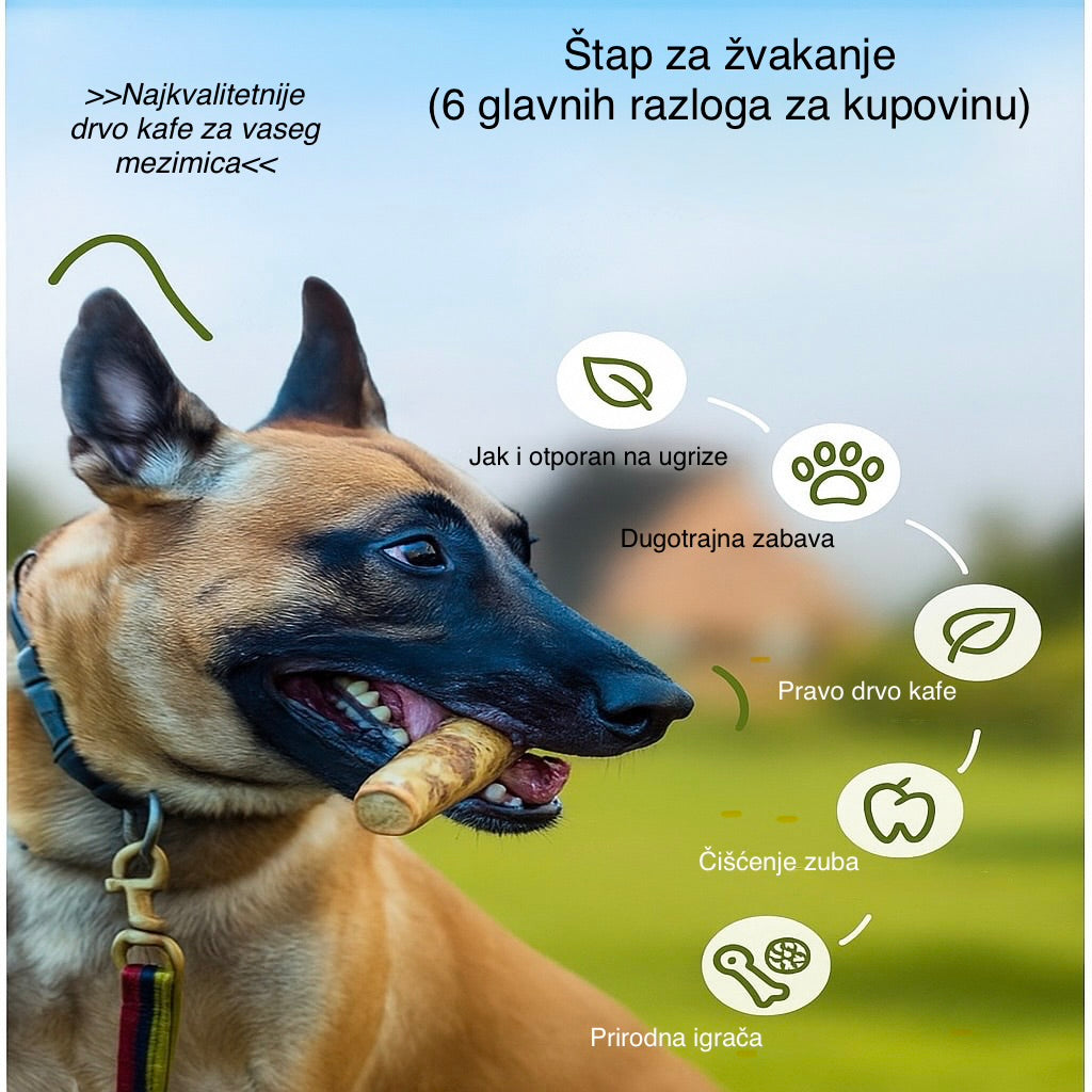🌱 Drvo kafe – potpuno prirodna igračka za pse! Bez hemikalija, bez veštačkih boja. Savršena za grickanje, jača zube i zadovoljava potrebu za žvakanjem. Zdravo, održivo i šapasto zabavno! 🐾
