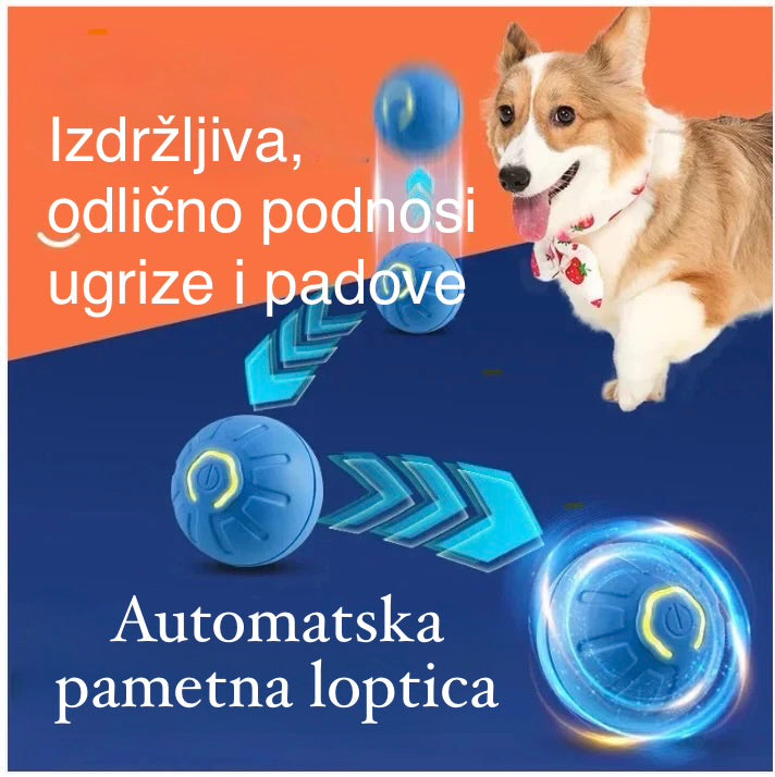 🎾🐾 OGRANIČENA KOLIČINA Pametna lopta koja sama skakuće i pokreće se – savršena zabava za tvog psa! USB punjenje, interaktivna i zabavna, odličan rođendanski poklon za tvog razigranog prijatelja. 🎁🐶