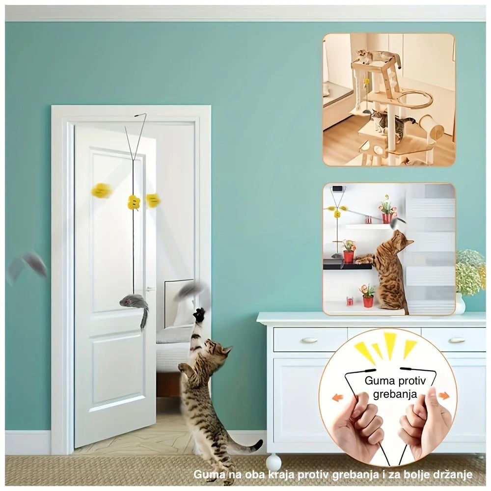 Cat looking at a door with a product for preventing scratching on the wall.