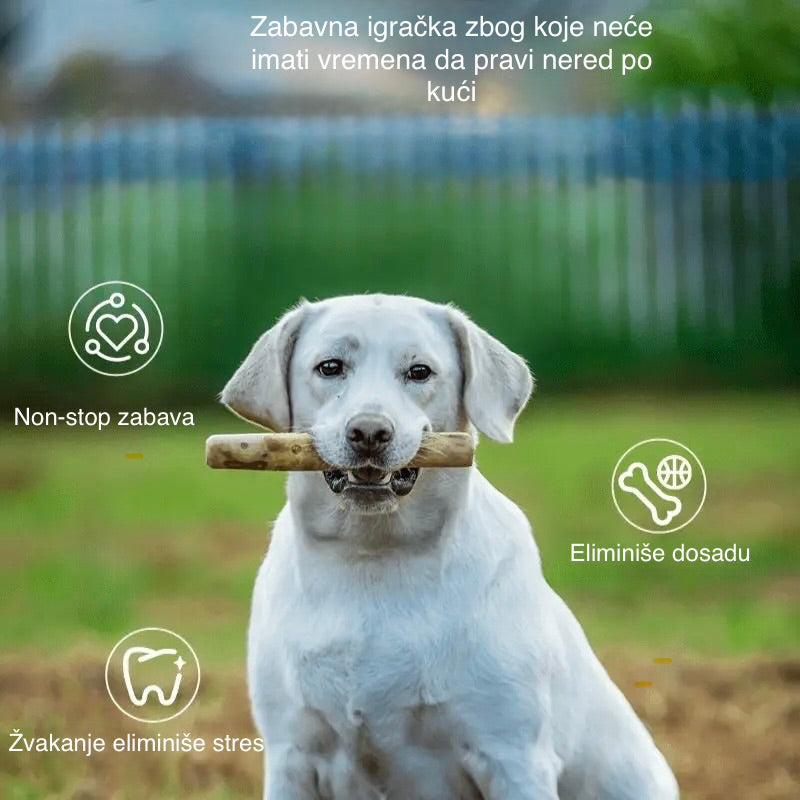 🌱 Drvo kafe – potpuno prirodna igračka za pse! Bez hemikalija, bez veštačkih boja. Savršena za grickanje, jača zube i zadovoljava potrebu za žvakanjem. Zdravo, održivo i šapasto zabavno! 🐾