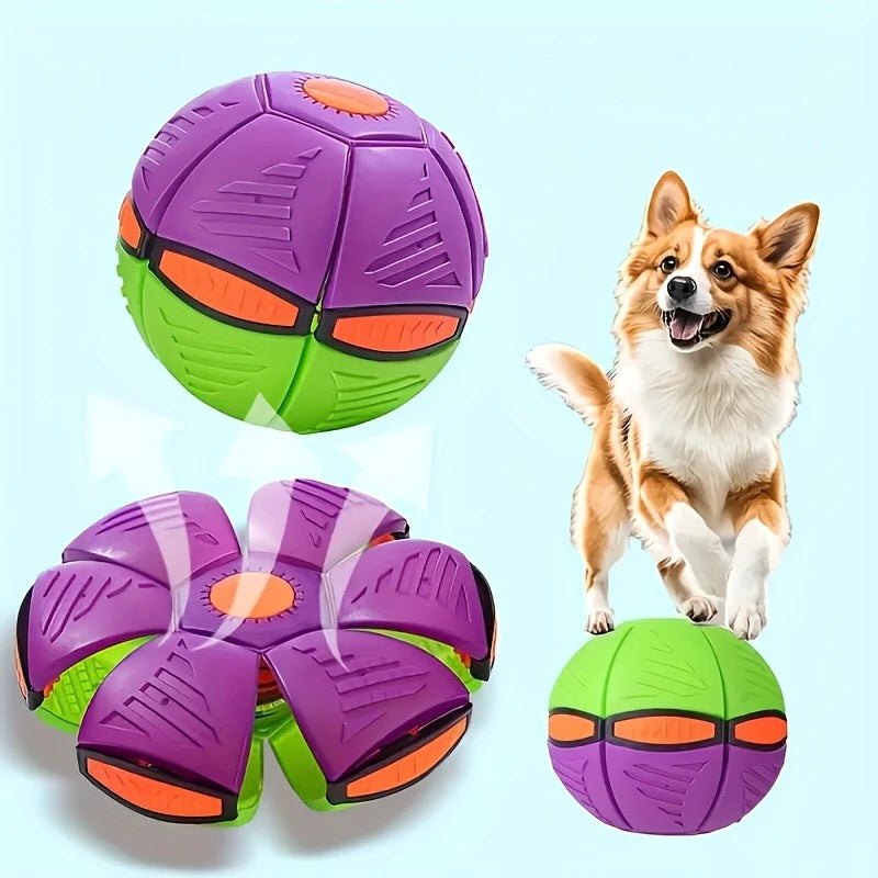 Colorful dog toys with a dog jumping with excitement on a light blue background