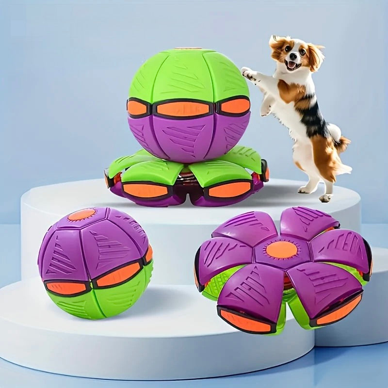 Colorful dog toy with a dog standing on a white platform against a light blue background