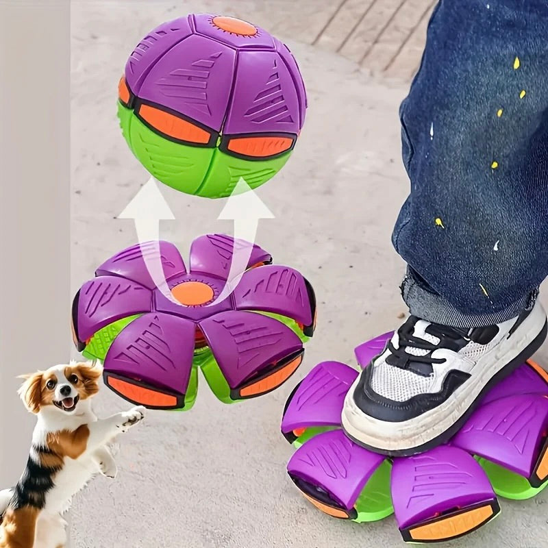 Purple and green dog toy transforming into a flower-like shape with a person stepping on it and a dog looking at it.